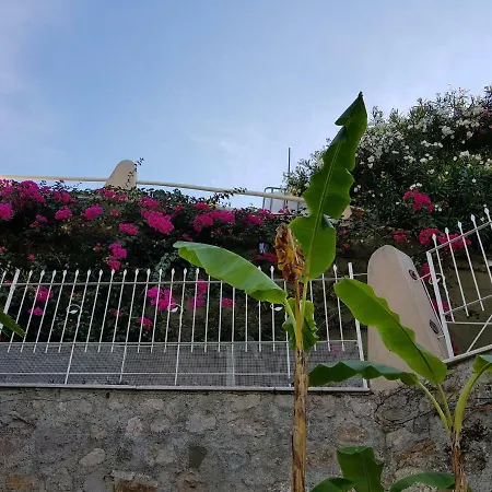 Olguita Guest house 4*