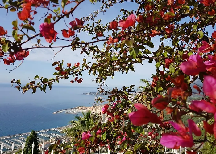 Olguita Penzion Menton